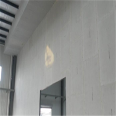 洮南宁波ALC板|EPS加气板隔墙与混凝土整浇联接的实验研讨
